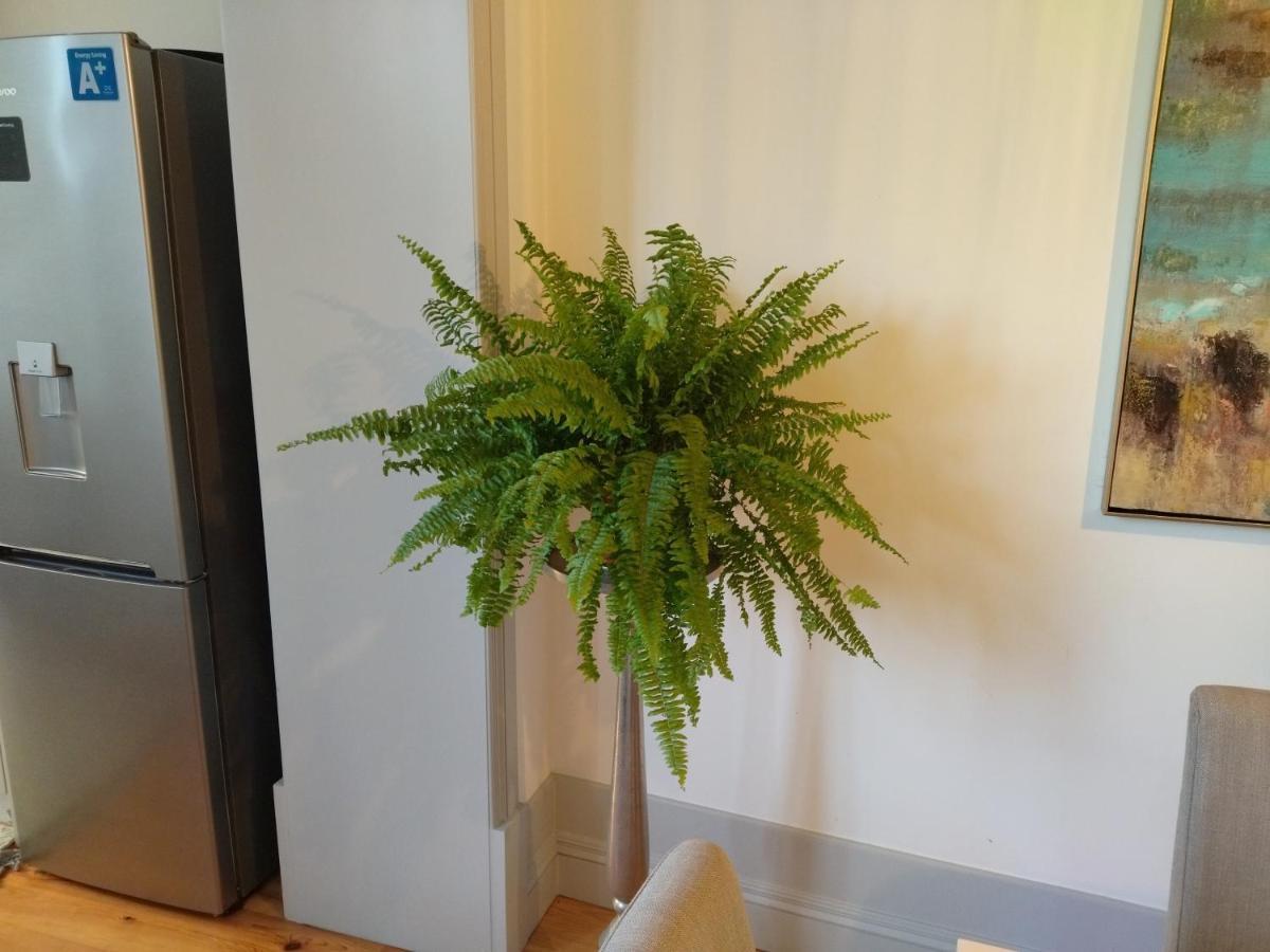 Lusitania Garden Apartment - Jardim Privado Porto Dış mekan fotoğraf